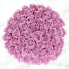 50 Stem Mauve Roses Online