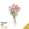 7 Roses Long Stemmed Online
