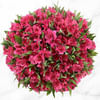 80 Alstroemeria Stems Online