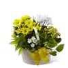 A Bit of Sunshine Basket by FTD Online
