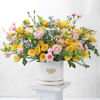 A Vibrant Purity Online
