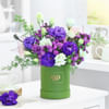 Buy A Violet Wish
