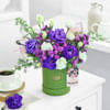 Gift A Violet Wish