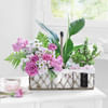 Gift A Walk in the Garden Basket