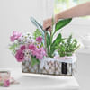 Buy A Walk in the Garden Basket