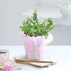 Shop A Walk in the Garden Basket