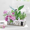 A Walk in the Garden Basket Online