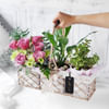 Buy A Walk in the Garden Basket