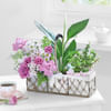 Gift A Walk in the Garden Basket