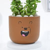 Buy Adorable Teddy Terracotta Planter And Jade Plant