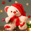 Adorable White Teddy with Red Cap Online