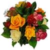 Affection - 12 Mixed Roses Online