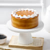Buy Aglaonema & Butterscotch Cake for Anniversary