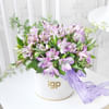 Gift Alstroemeria Allure