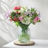 Gift Alstroemeria Dreams