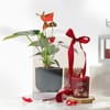 Buy Anthurium Plant with Jasmine Candle