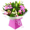 Ashleigh Online