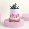 Buy Attractive Haworthia with Personalized Vase
