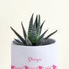 Shop Attractive Haworthia with Personalized Vase