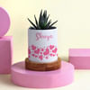 Attractive Haworthia with Personalized Vase Online