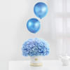 Aurora Blue Balloons Arrangement Online