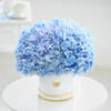 Gift Aurora Blue Hydrangea Arrangement