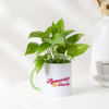 Gift Awesome Didi Money Plant With Mug Planter