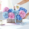Buy Baby shower celebration  wishes