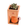Bamboo Wireless Charger with Planter