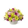 Basket Of Cheer Online