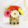 Gift Beautiful Assorted Gerberas