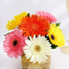 Buy Beautiful Assorted Gerberas