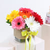 Shop Beautiful Assorted Gerberas