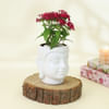 Shop Beautiful Pentas Red Plant