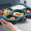 Gift Bento Lunch Box - 5 Slots - Single Piece