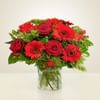 Best wishes Online