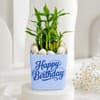 Birthday Bamboo Plant with Blue Vase Online