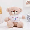 Birthday Happiness Personalized Teddy For Kids Online