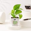 Gift Birthday Planter and Chocolate Combo