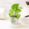 Buy Birthday Planter and Chocolate Combo
