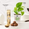 Shop Birthday Planter and Chocolate Combo