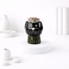 Black Ceramic Cat Face Planter With Echeveria Succulent