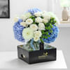 Buy Blissful Blue