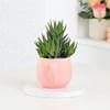 Gift Blossoming Love Arrangement
