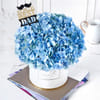 Gift Blue Beauty for Dad