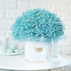 Blue Gypsophila Luxe Arrangement
