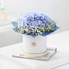 Gift Blue Hydrangea & Teddy Combo