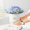 Shop Blue Hydrangea & Teddy Combo