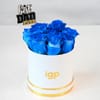 Gift Blue Serenity Rose Arrangement