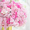 Shop Blushing in Love